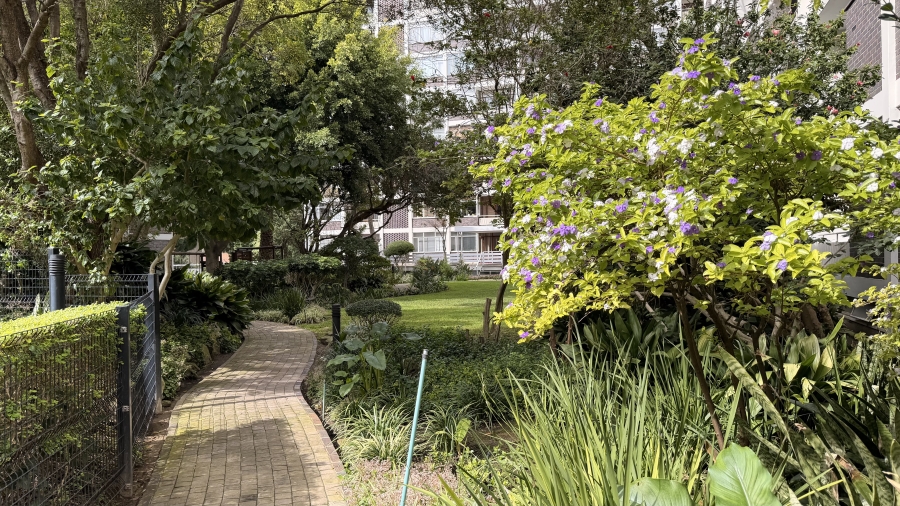 To Let 2 Bedroom Property for Rent in Cape Town City Centre Western Cape